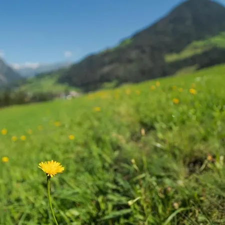 Putzenhof Großkirchheim