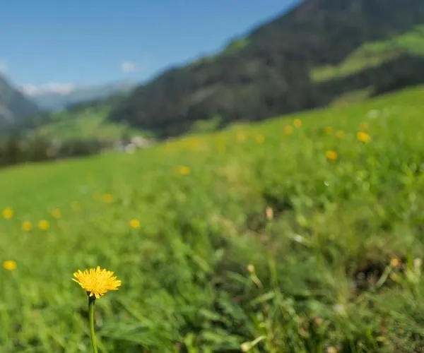 Putzenhof Großkirchheim